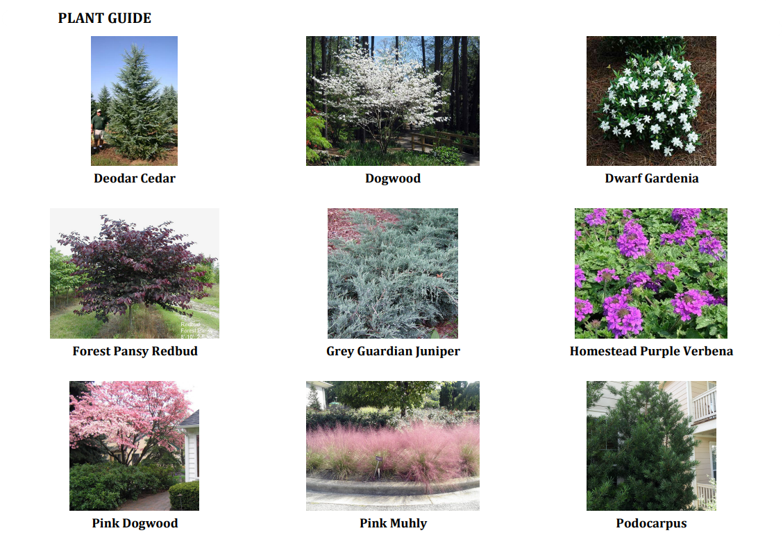 Landscape Plant Selection